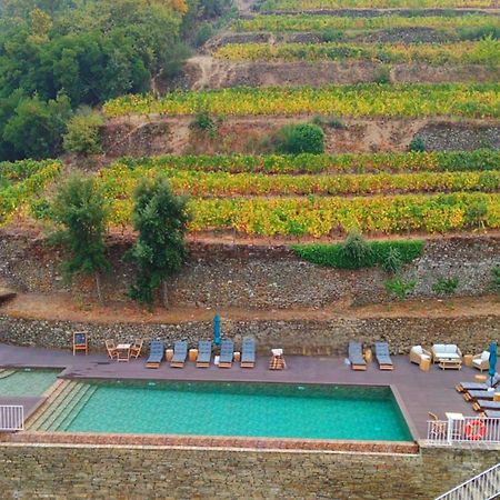 Quinta De Travassinhos- Douro Valley & Spa Santa Marta de Penaguião Εξωτερικό φωτογραφία