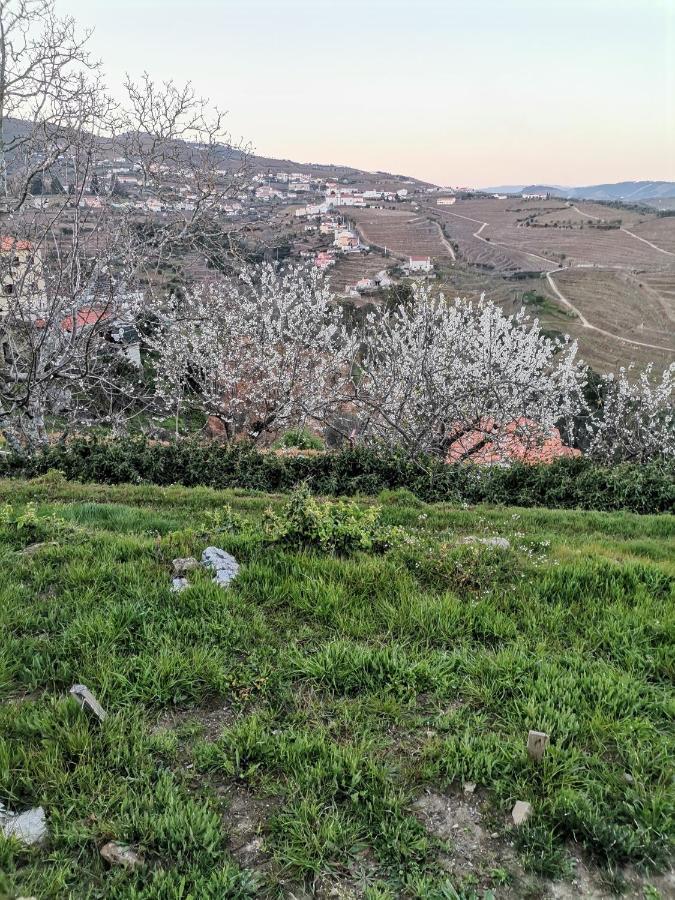 Quinta De Travassinhos- Douro Valley & Spa Santa Marta de Penaguião Εξωτερικό φωτογραφία
