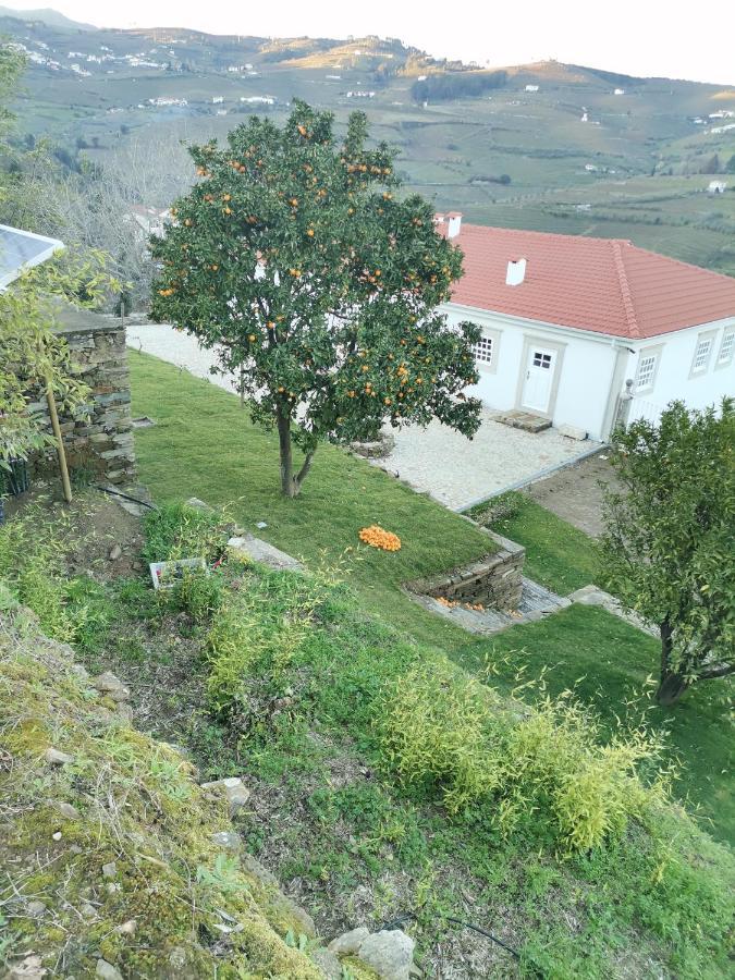 Quinta De Travassinhos- Douro Valley & Spa Santa Marta de Penaguião Εξωτερικό φωτογραφία