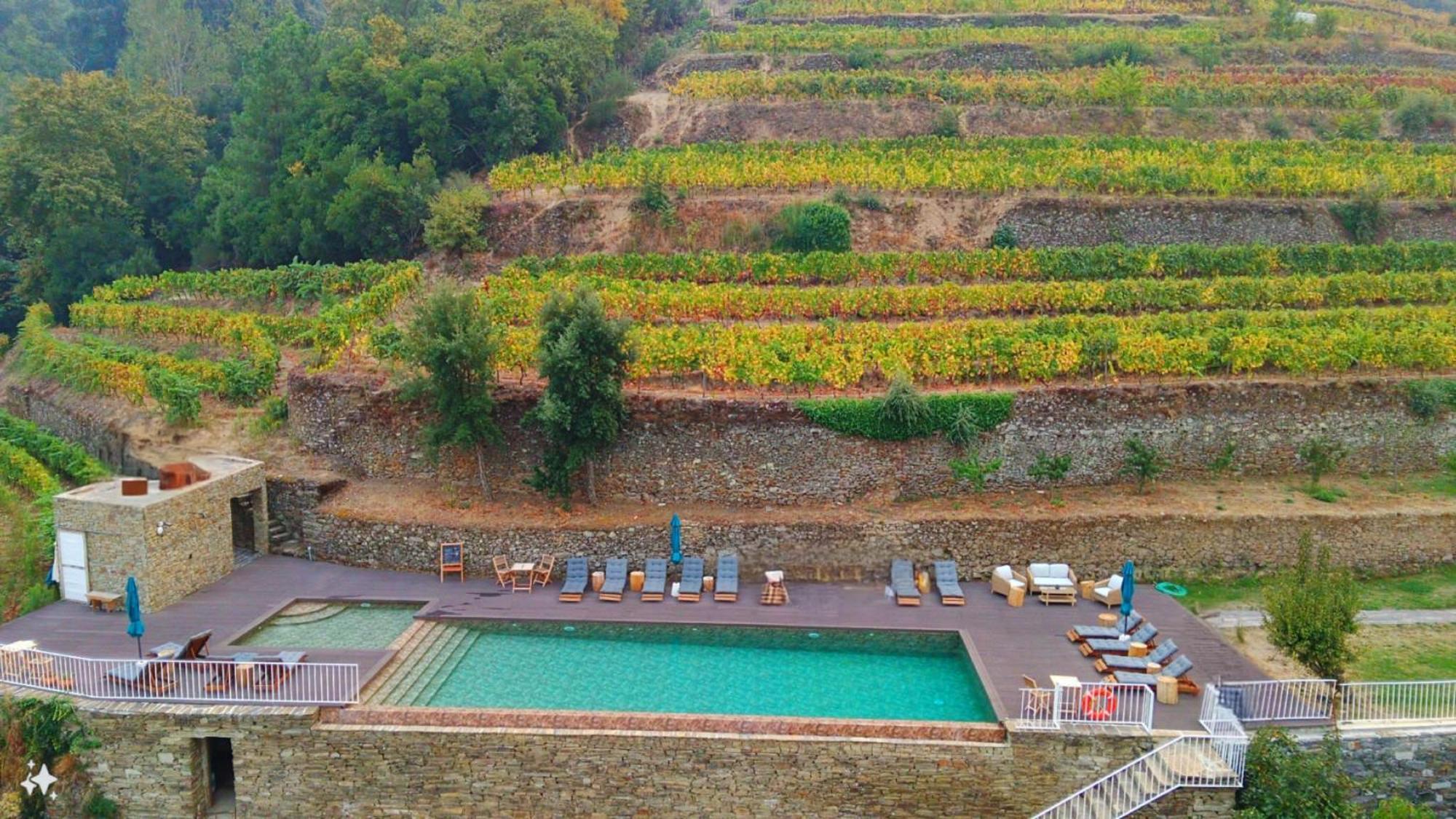 Quinta De Travassinhos- Douro Valley & Spa Santa Marta de Penaguião Εξωτερικό φωτογραφία