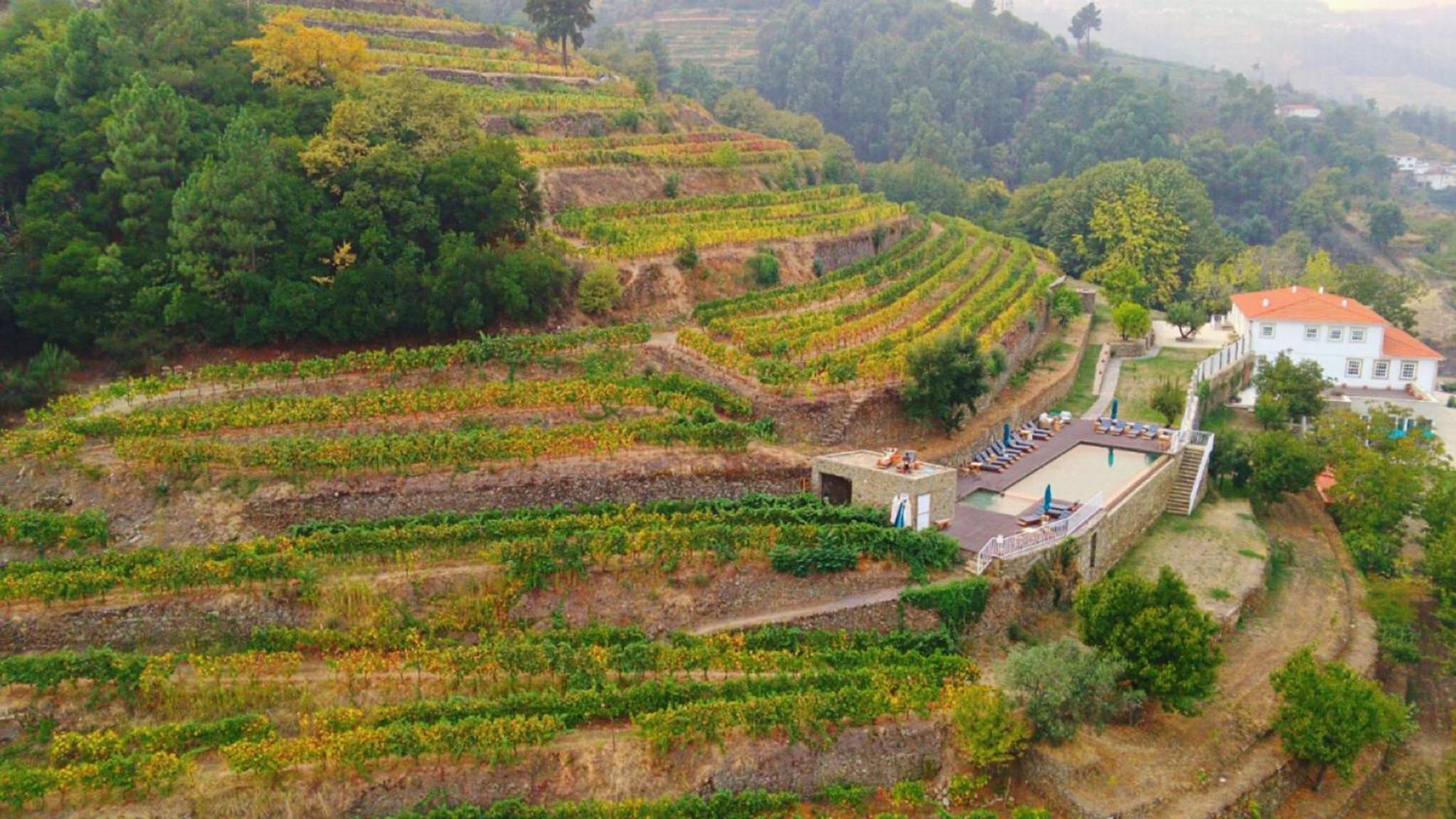 Quinta De Travassinhos- Douro Valley & Spa Santa Marta de Penaguião Εξωτερικό φωτογραφία